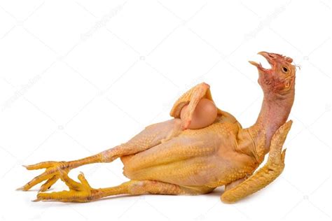 Nude Chicken Keeping His Egg Stock Photo Smithore 13373021