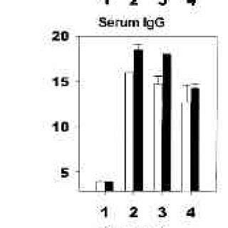 Anti-LT secretory IgA and serum IgG and IgA antibody responses on ...