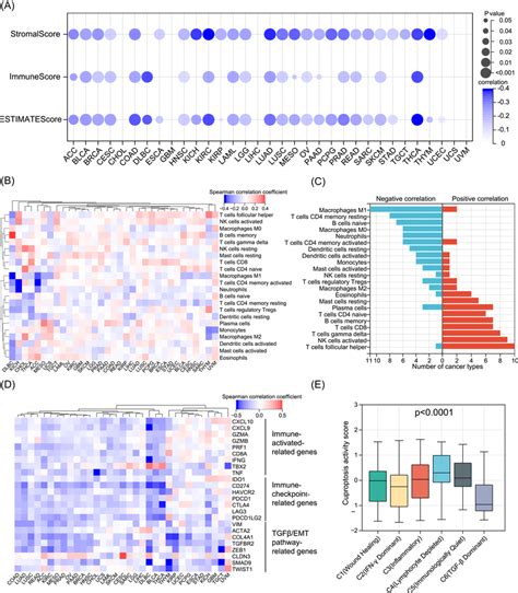 Cuproptosis Correlates With Tumor Immune Characteristics A