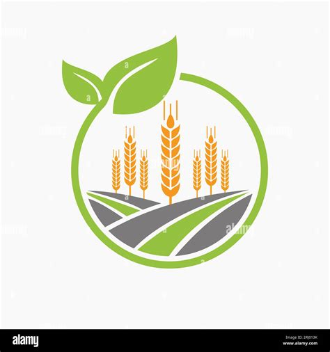 Agriculture Logo Design Concept With Wheat Icon Farming Logotype