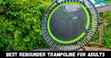 7 Best Rebounder Trampoline For Adults Reviews 2024