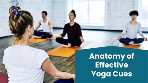 The Anatomy Of Yoga Cues That Work