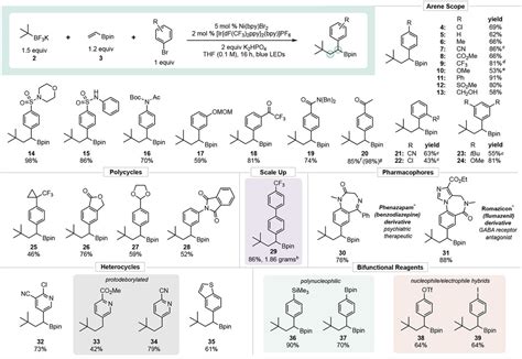 Three Component Olefin Dicarbofunctionalization Enabled By Nickel