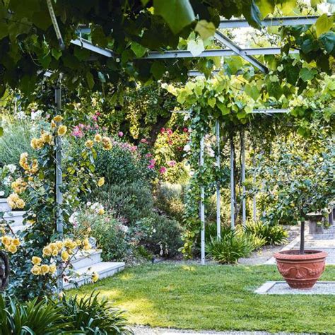When to prune a climbing rose – here's what Monty Don says | Ideal Home
