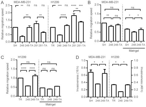 Diverse And Cancer Typespecific Roles Of The P R Q Gainof