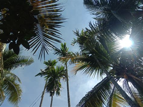 Shine Sky - Free photo on Pixabay - Pixabay