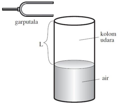 Apa Yang Dimaksud Dengan Resonansi Bunyi Maksad