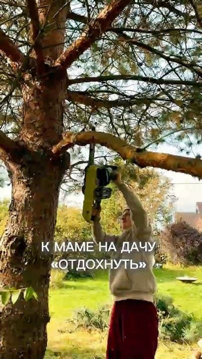 Немного подпилила деревья на даче аккумуляторной цепной пилой # ...