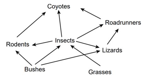 Liv Env Jun Flashcards Quizlet