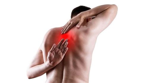 Shephard Chiropractic Clinic - Mid-Back Pain and What You Can Do