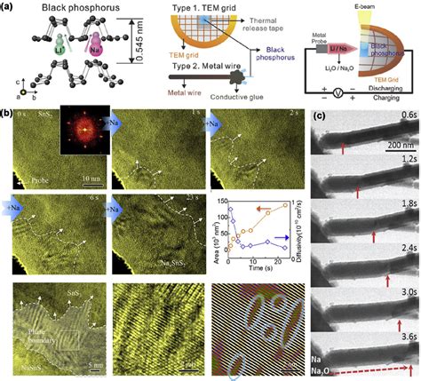 A Schematics Of Sample Preparation And In Situ TEM Setup For Black