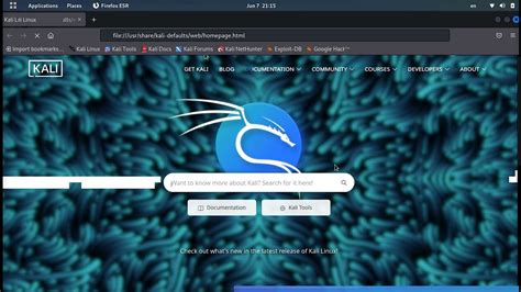 Kali Linux Fix Internet Connection