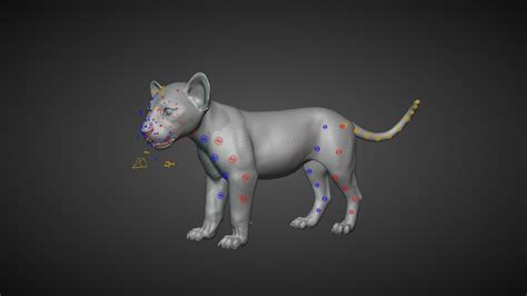 Lion Cub Animated model - TurboSquid 2016560