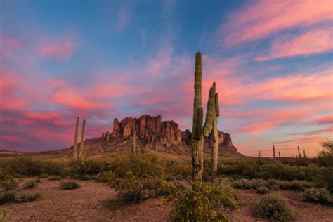 cactus sunset arizona superstition mountains stock