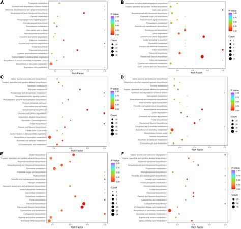 Frontiers Metabolomics Analysis Reveals The Differences Between