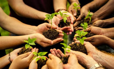 COP26 BASTA DE TRATAR LA NATURALEZA COMO UN RETRETE Chile Energías