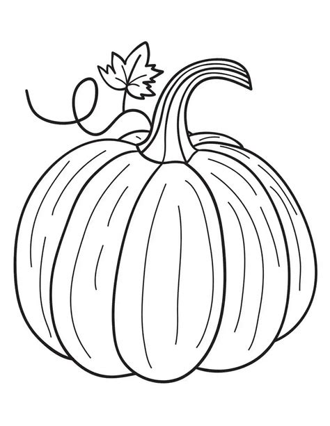 Disegni Di Zucca Zucche Da Colorare Disegni Colorare