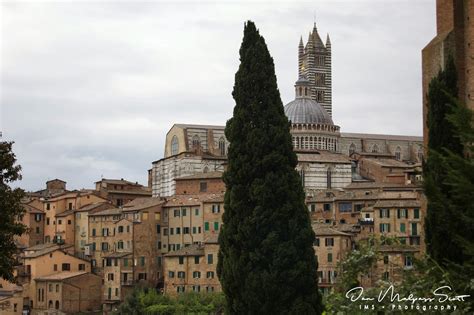 Siena Cathedral