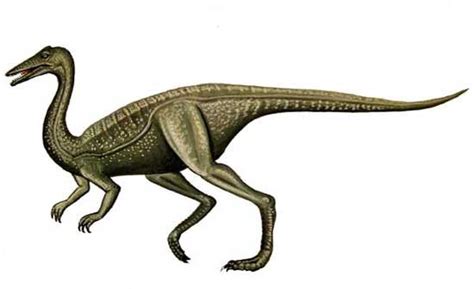 Archaeornithomimus - Alchetron, The Free Social Encyclopedia