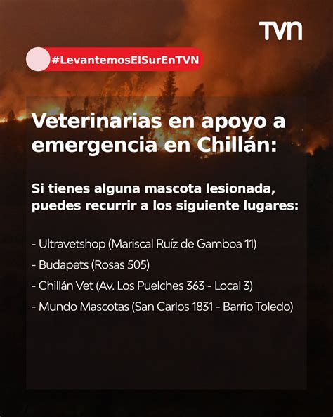 Tvn On Twitter ⭕ Levantemoselsurentvn ⚠️ ¡cuida A Tus Mascotas 🐾 Si