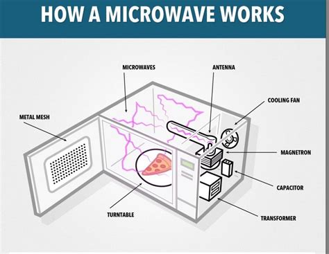 What Happens If You Put China In A Microwave At Dolores Bishop Blog