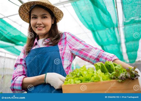 Portrait Of Happy Asian Woman Farmer Holding Basket Of Fresh Vegetable