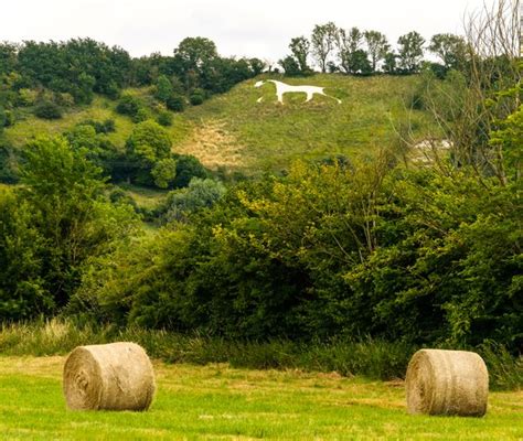 Broad Town White Horse Trendradars