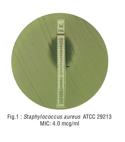 RIDACOM Comprehensive Bioscience Supplier Cefoperazone