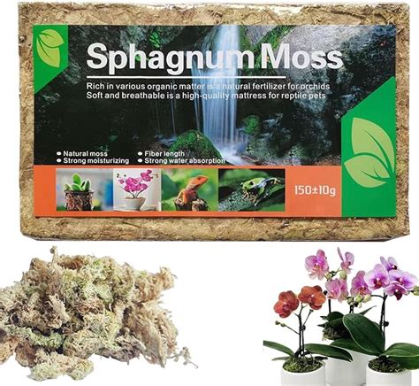 Tanba Long Fiber Sphagnum Moss Orchid Sphagnum Moss Dried Plant