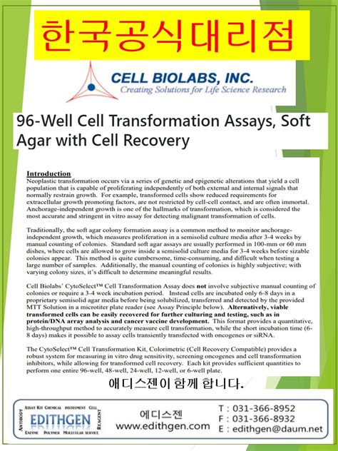 Cellbiolabs 한국공식대리점 96 Well Cell Transformation Assay Kit Bric