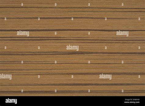 Teak Wood Texture Seamless