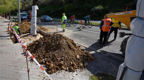 La Cuesta De Beloso De Pamplona Se Prepara Para La Tala Masiva De