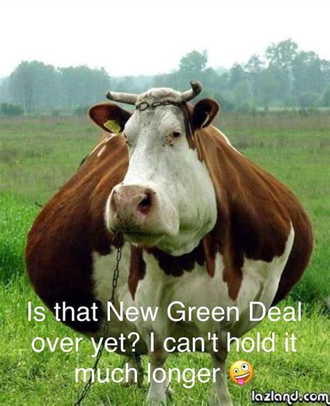 May I present the third in my collected series of Green New Deal/cow ...