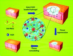 Hyaluronic Acid Decorated PH And Temperature Induced Injectable