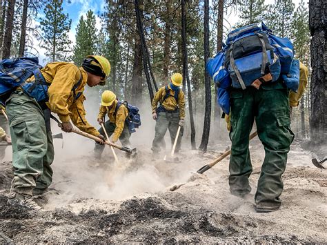 Wildland Firefighters In Action