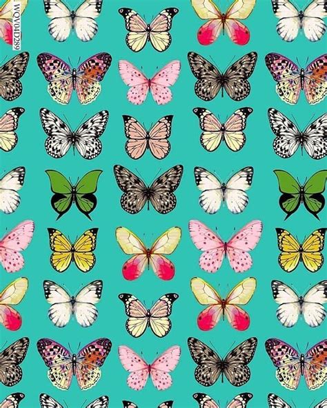 Many Different Colored Butterflies On A Blue Background