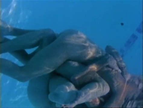 Senator Porn Videos XHamster