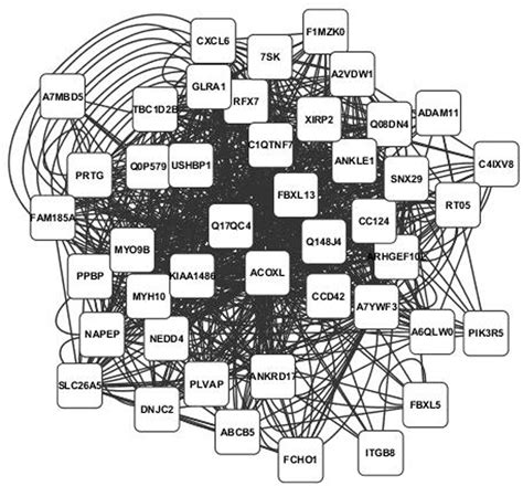 Frontiers Deriving Gene Networks From Snp Associated With