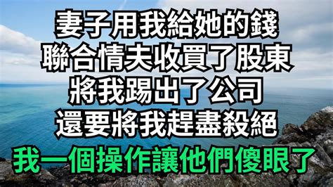 妻子用我給她的錢，聯合情夫收買了股東，將我踢出了公司，還用將我趕盡殺絕，我一個操作讓他們傻眼了【淺談夕陽下】圍爐夜話花開富貴爽文落日