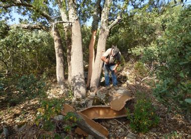 Ocio Educativo En La Naturaleza