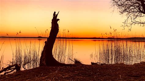 Ausflugsziele Brandenburg Blankensee besten Tipps für den