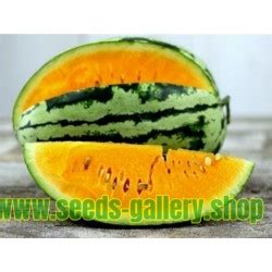 Orange Watermelon Seeds Tendersweet - Price €2.25