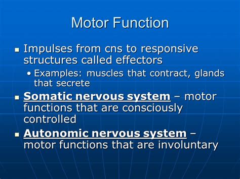 Nervous System Chapter Ppt Video Online Download