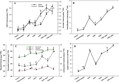 Effects Of Static Magnetic Field At 30 Mt 100 Ppm Mnp And Their