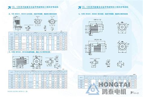 Yzeyzre系列冶金起重电磁制动三相异步电机