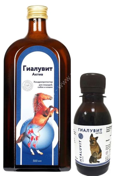 Гиалувит АКТИВ 125 мл - хондропротектор для собак и кошек купить в ...