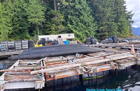 Shellfish Farming Company for Sale - BC Shellfish Growers Association