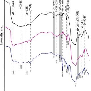 Ir Spectra Of Sio P O Oh C H Initial Sample Upper Black