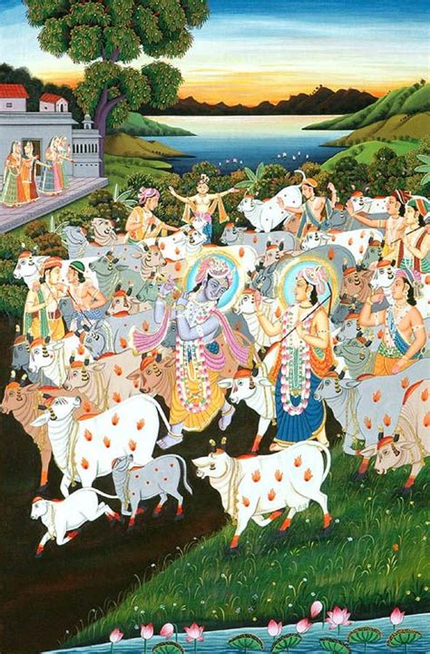 Krishna The Lover Of Cows Exotic India Art Painting Krishna Art