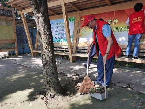 【创建进行时】立足文明“新起点” 志愿服务不停歇（四）活动日